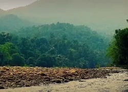 Simlipal National Park