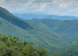 Murlen National Park in Aizawl