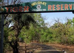 Melghat Tiger Reserve in Amarvati