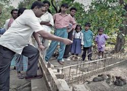 Rat Park in Kolkata