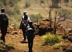 Jungle Trekking in Gajapati in Gajapati