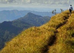 Trek to Tendong Hill