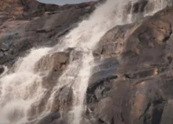 Bhagwan Mahavir Wildlife Sanctuary