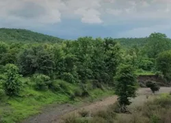 Katepurna Sanctuary in Akola