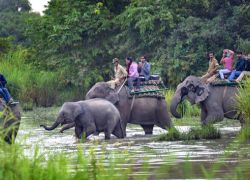 Kaziranga National Park in Golaghat
