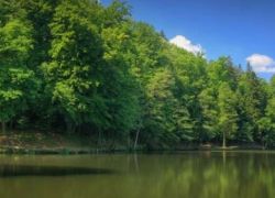 Alwar Tirunagari in Tirunelveli