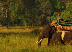 Elephant Safari in Mandla in Mandla