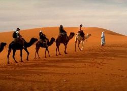 Camel Safari In Shekhawati in Shekhawati