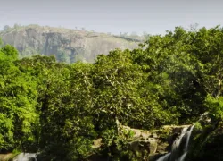 Nyayamakad Waterfall in Idukki