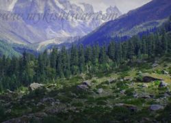 Kishtwar National Park in Kishtwar