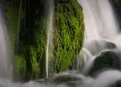 Mossy Falls in Mussoorie