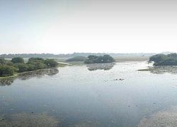 Nawabganj Bird Sanctuary in Kanpur