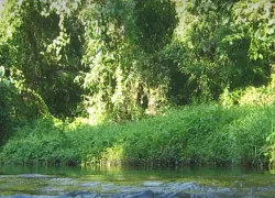 Jubilee Park in Jalpaiguri