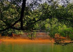 Nandankanan, Bhubaneswar