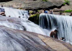 Siruvani Waterfalls and Dam in Coimbatore