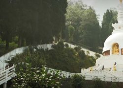 Peace Pagoda, Darjeeling