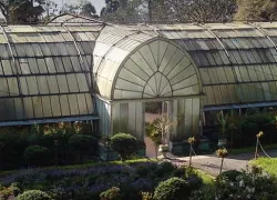 Lloyd's Botanical Garden in Darjeeling