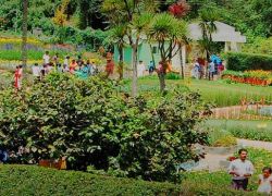 Bryant Park Kodaikanal