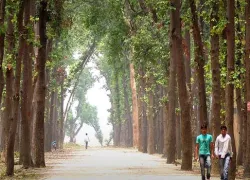 Kushmi Forest in Gorakhpur