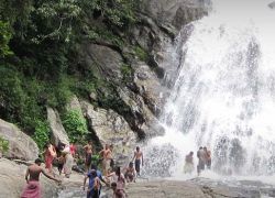 Monkey Falls