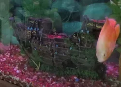 VOC park and zoo in Coimbatore