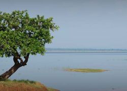 Ekashila Lake & Children Garden in Warangal