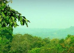 Eturnagaram Wildlife Sanctuary in Warangal