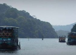 Periyar National Park, Thekkady