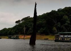 Thekkady Lake in Thekkady