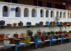 Flora and Fauna Museum in Kodaikanal