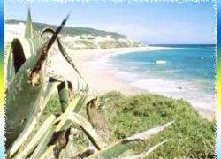 Barbate Beach in Cadiz