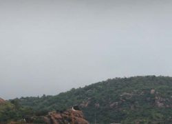 Jamadhi Hill in Vellore