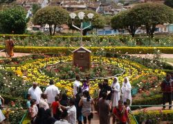 Thread Garden, Ooty