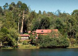 Punganoor Lake in Vellore
