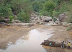 Amirthi Zoological Park in Vellore