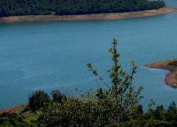 Emerald Lake in Ooty