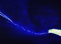 Adam's Bridge in 