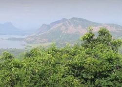 Palni Hills in Kodaikanal