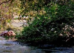 Bassi Wildlife Sanctuary in Chittorgarh