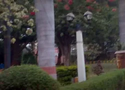 Chambal Garden in Kota