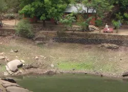 Trevor's Tank, Mount Abu