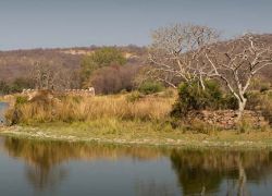 Padam Talab in Ranthambore