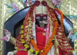 Kali Mata Mandir in Patiala