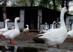 Anandwan in Chandrapur