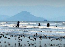 Akshi Beach in Alibag