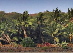 Kihim Beach in Alibag