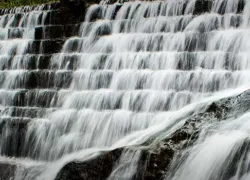 Bee Fall in Pachmarhi