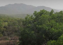 Mahadeo Hill, Pachmarhi