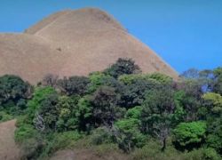Kopatty Hills in Kodagu