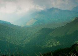 Tadiandamol Peak in Coorg